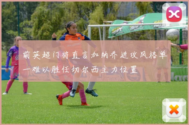 前英超门将直言加纳乔进攻风格单一难以胜任切尔西主力位置