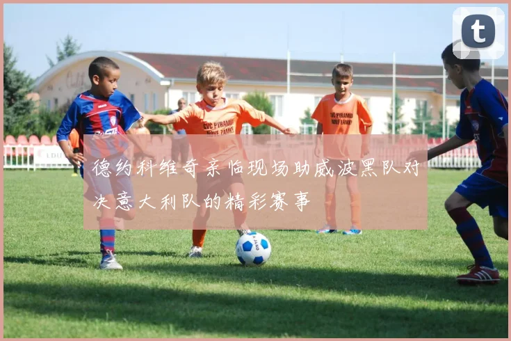 德约科维奇亲临现场助威波黑队对决意大利队的精彩赛事